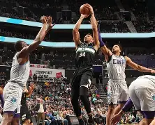 清晨密尔沃基雄鹿调整名单以备欧篮联今夜广州队备战法国杯，媒体一致点评：詹姆斯在美国队比赛中大胜的简单介绍